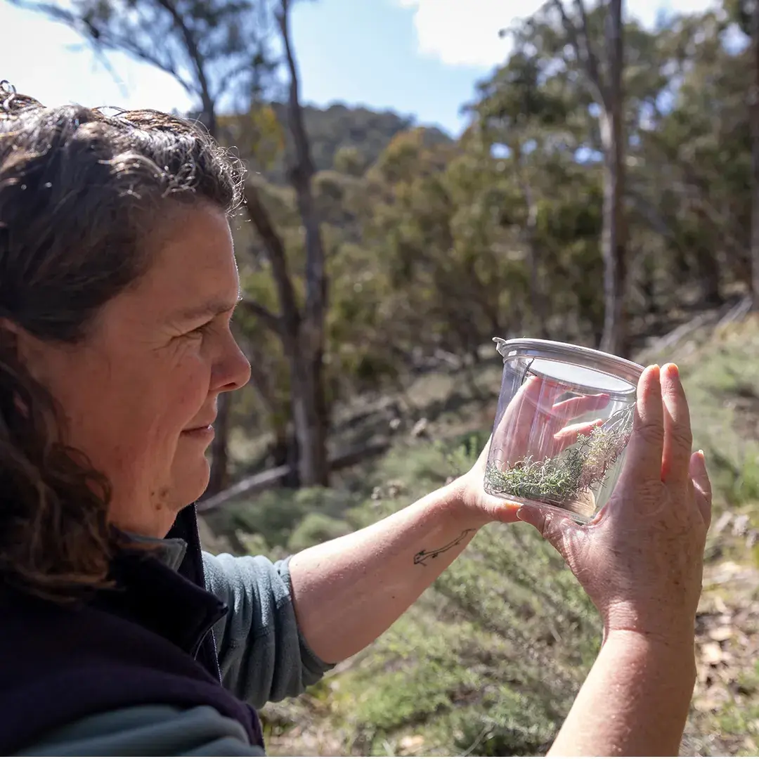 A woman outdoors looking at grasshoppers in a jar