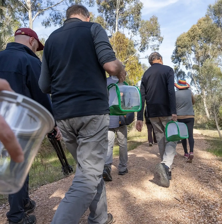 People walking along bush track carrying containers