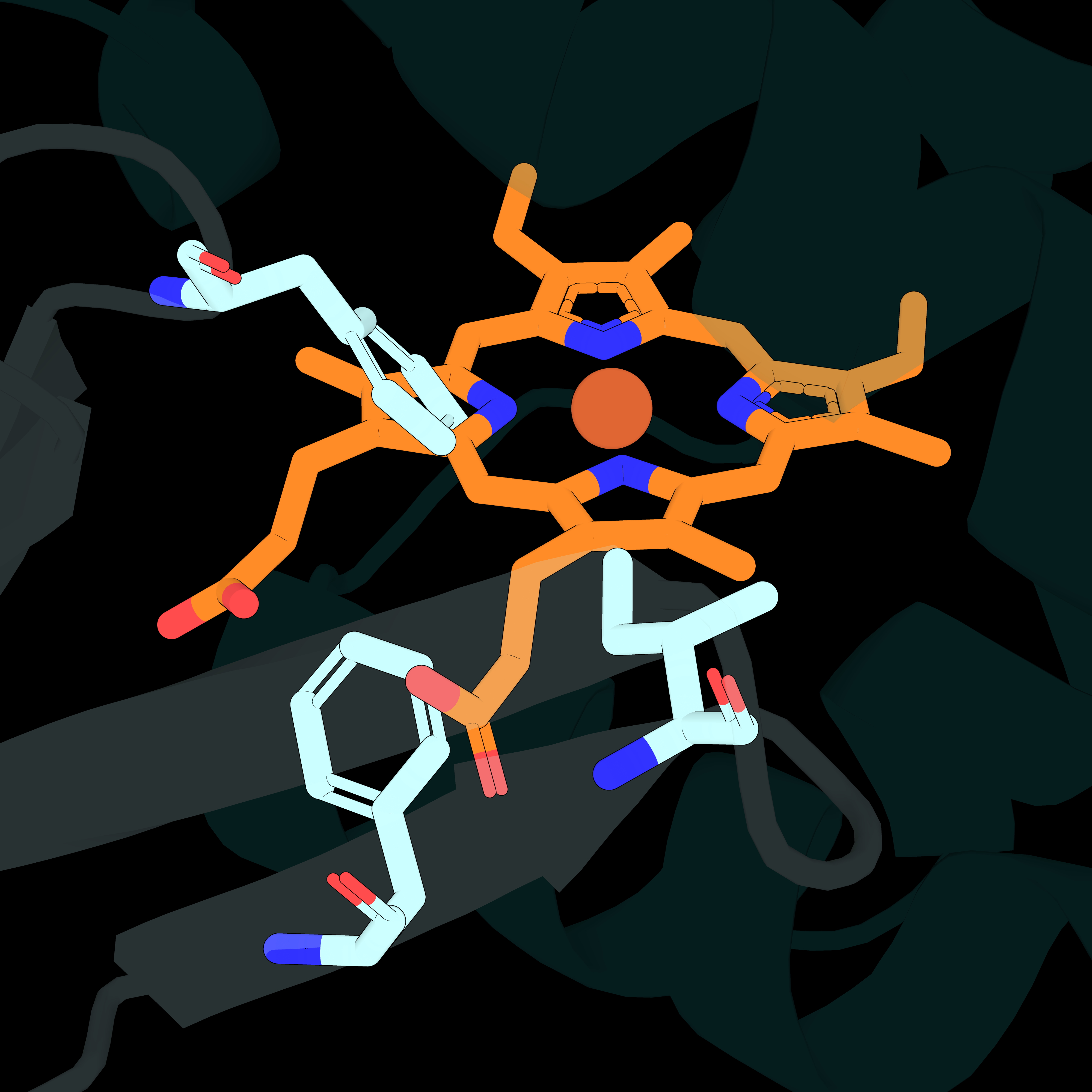 Graphic of bacterial heme transporter