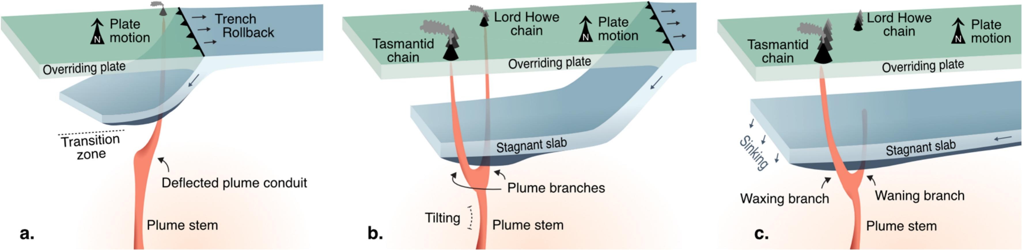Schematic model of plume-branching evolution applied to the Tasmantid and Lord Howe hotspot chains.