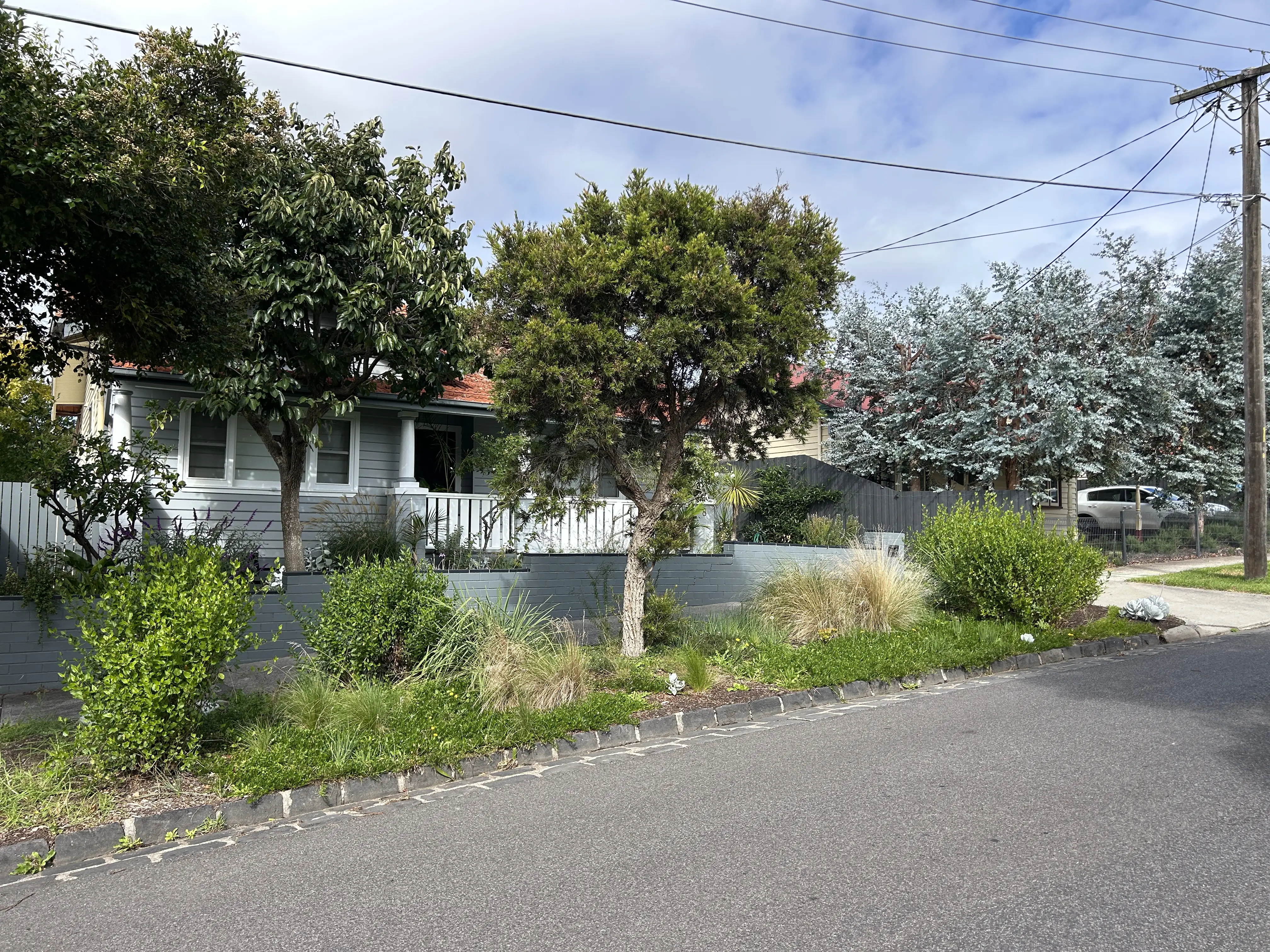 An established nature strip outside a house