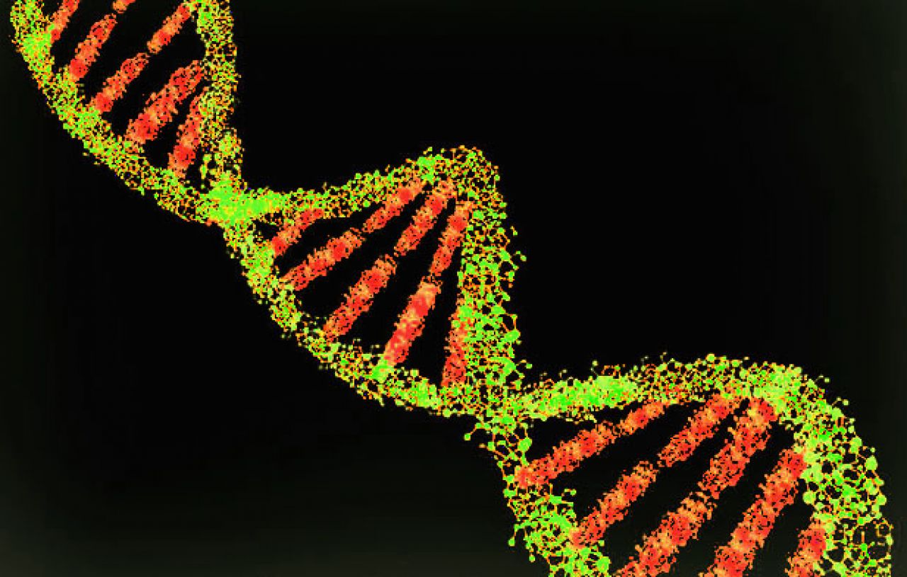 Genes, numbers and the holy grail of cancer prevention thumbnail image