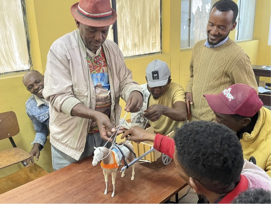 Cart drivers trial harness model in Ethiopia
