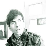 Headshot of Dominic Trimboli