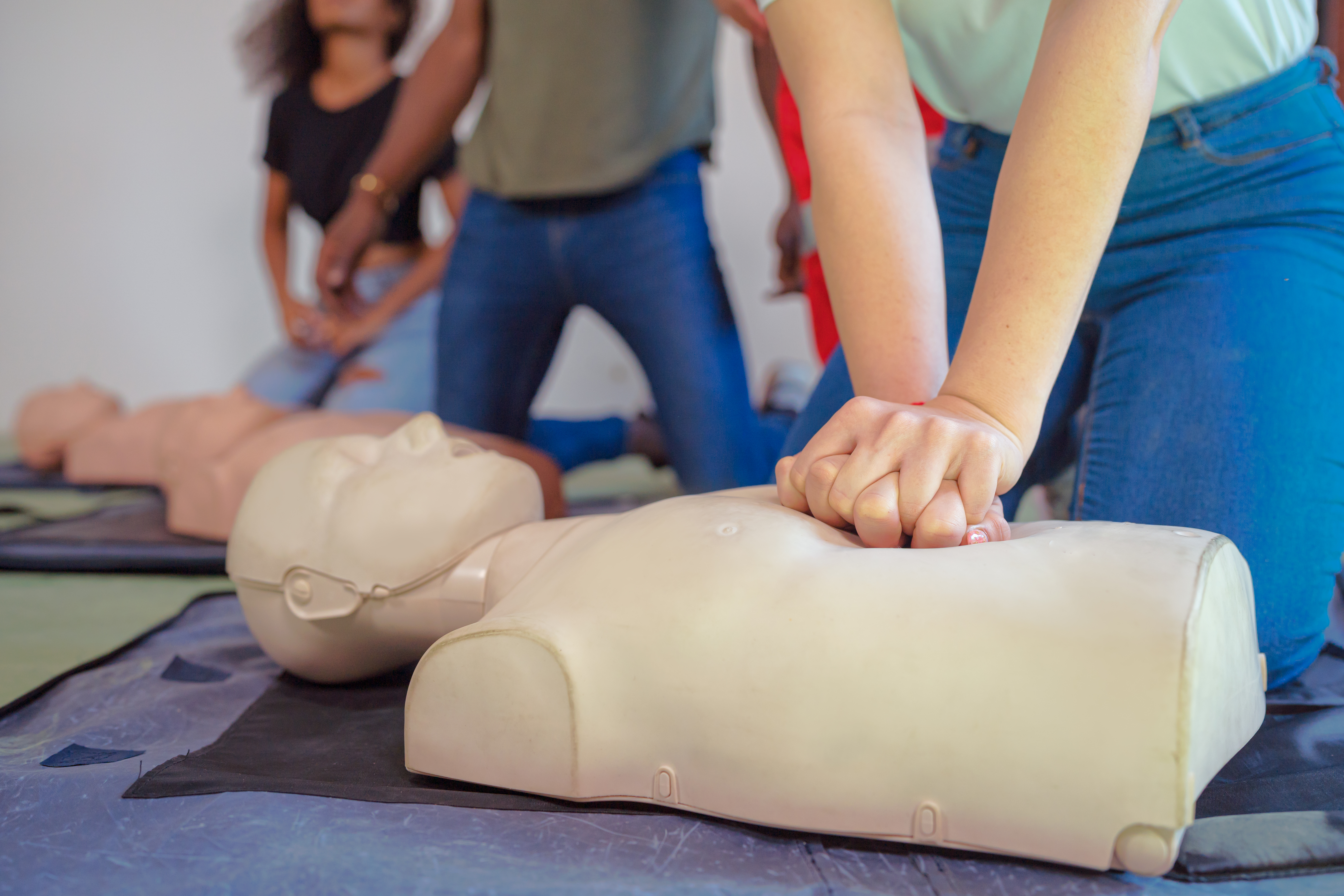 Chest compressions on a first aid dummy
