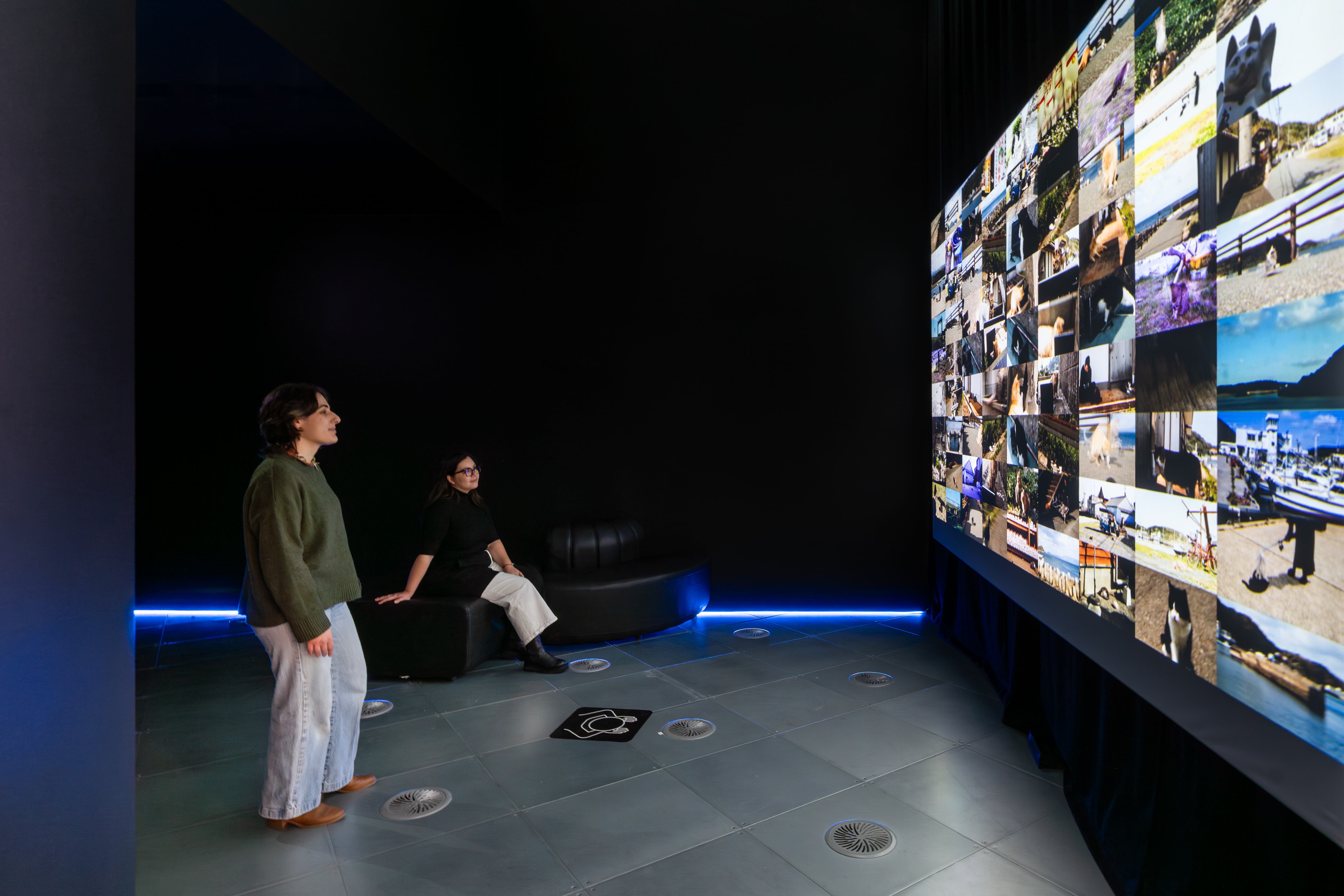 Art exhibit of cat videos