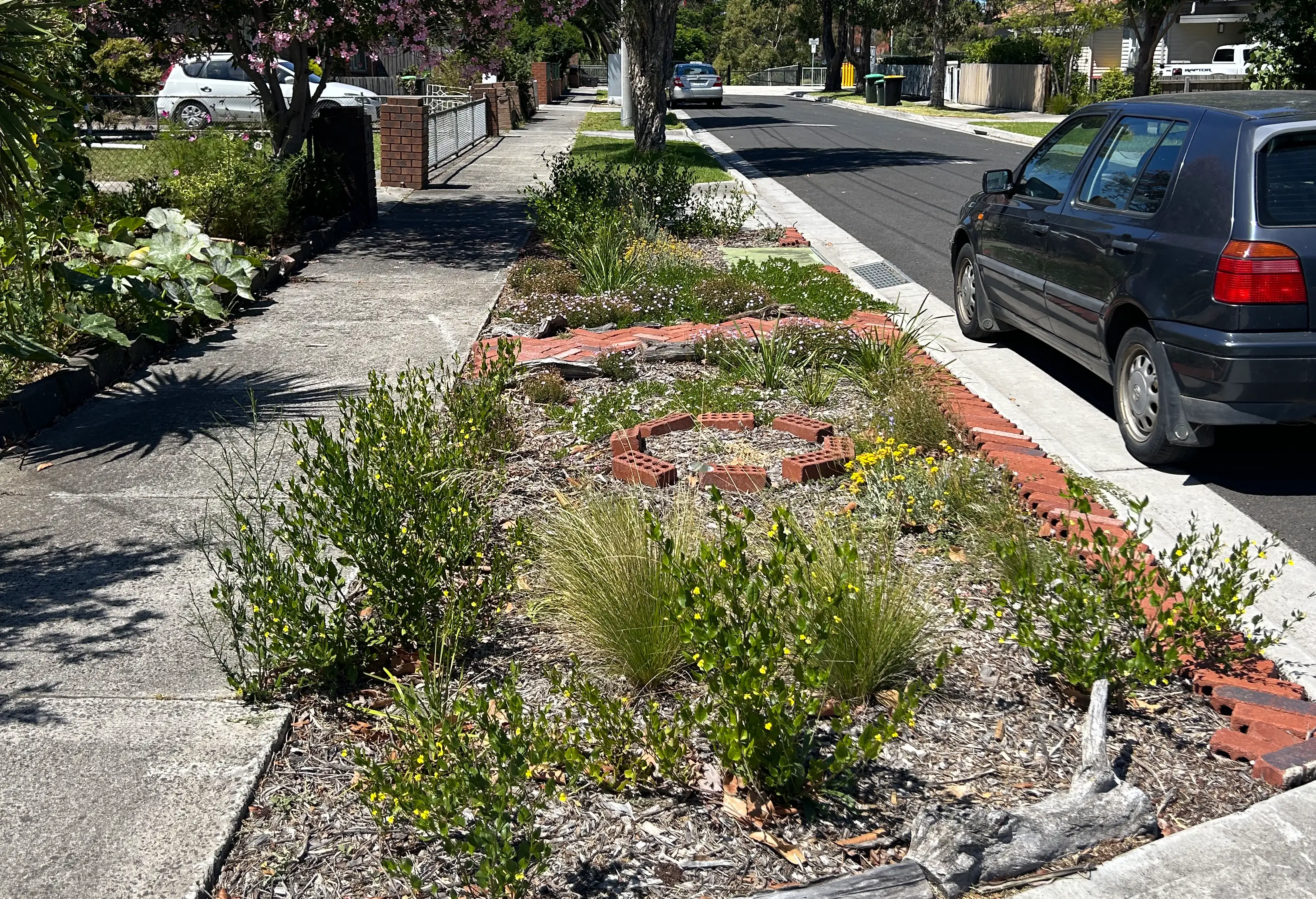 A streetview of an establised nature strip with a variety of plants