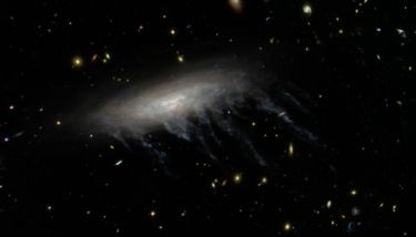 Supermassive black holes feed on cosmic jellyfish thumbnail image