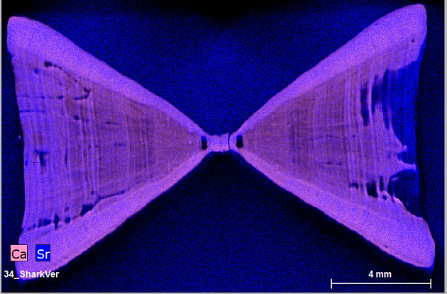 Research results showing a striped sample