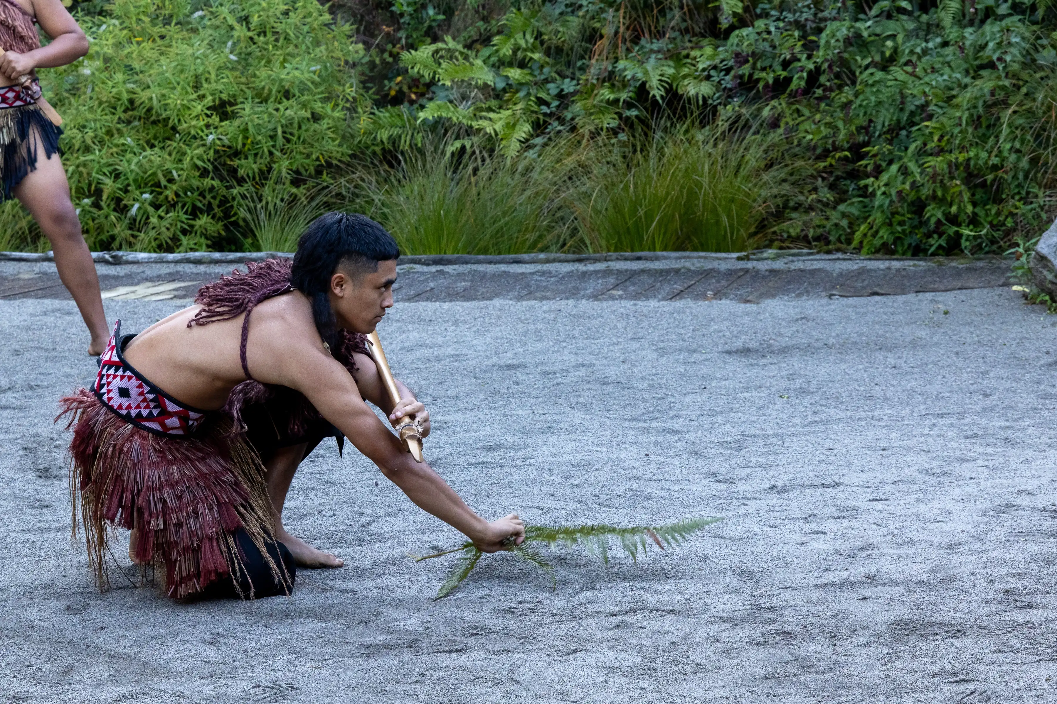 A Māori cultural performer places a native fern branch as a symbolic offering during a pōwhiri (welcome ceremony)