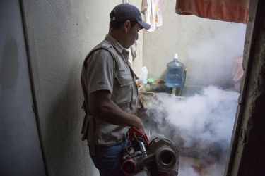 Beyond Zika: 5 other nasties on the radar thumbnail image