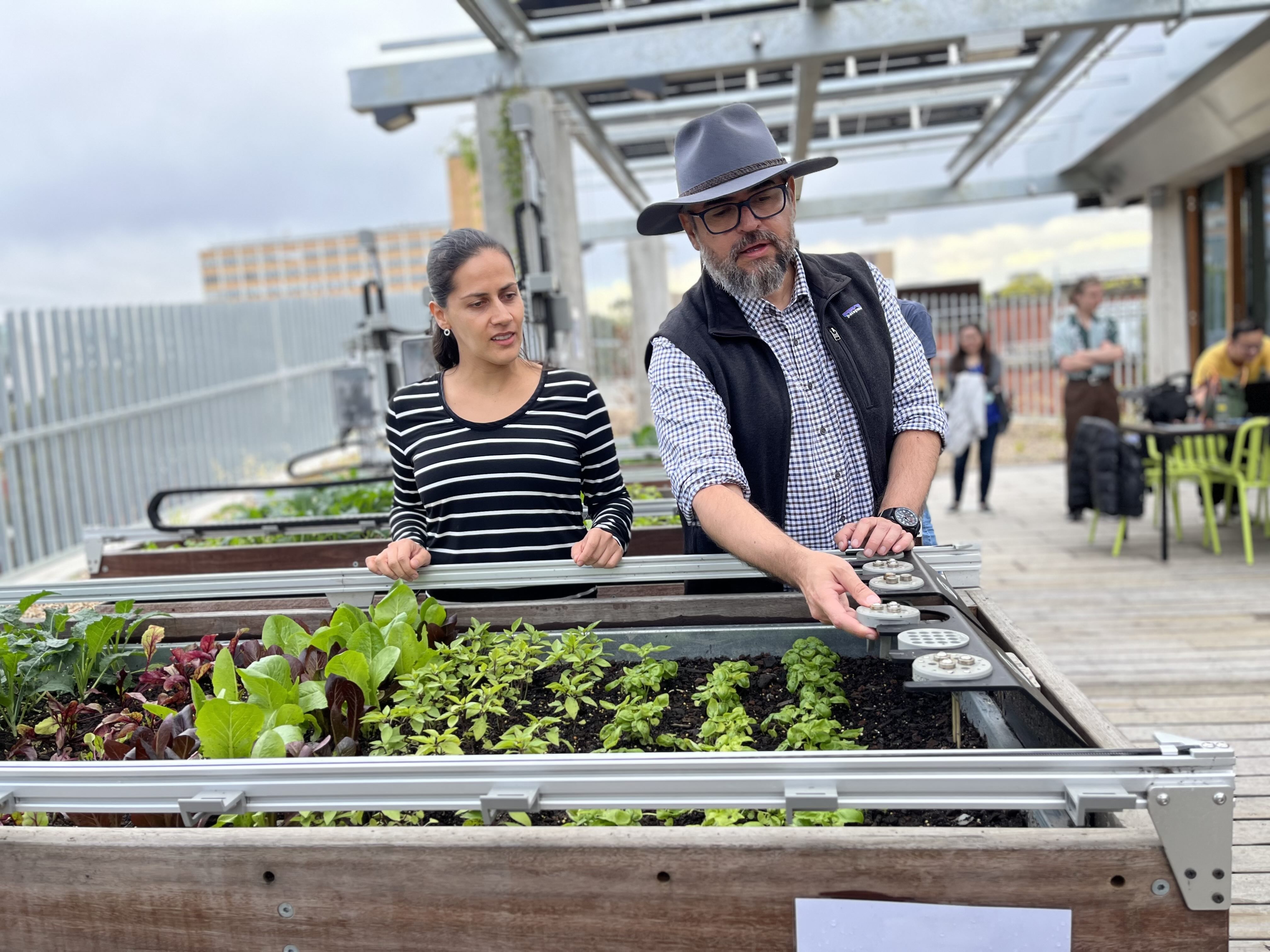 Researchers growing plants