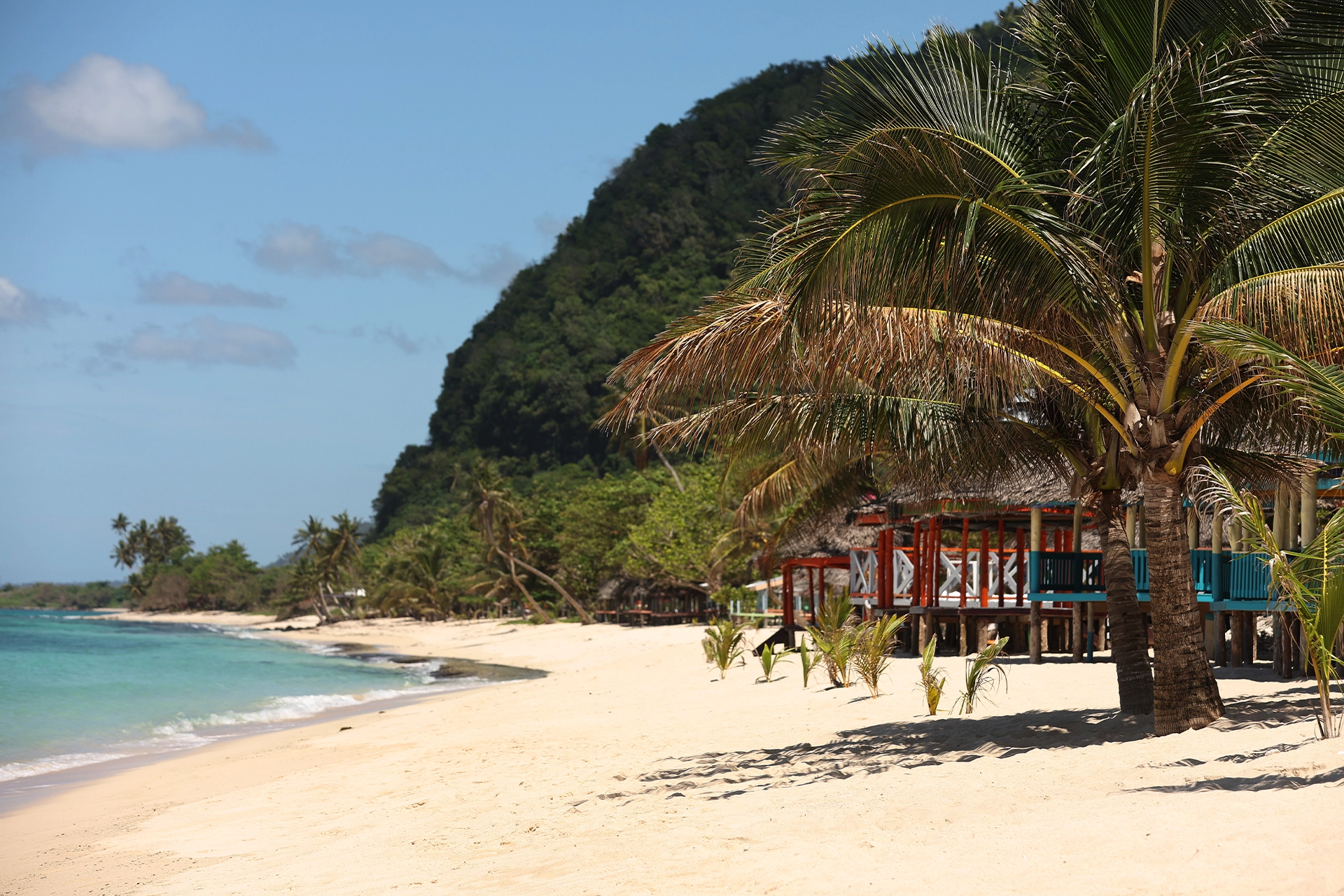 Tropical beach with palm trees and a shack