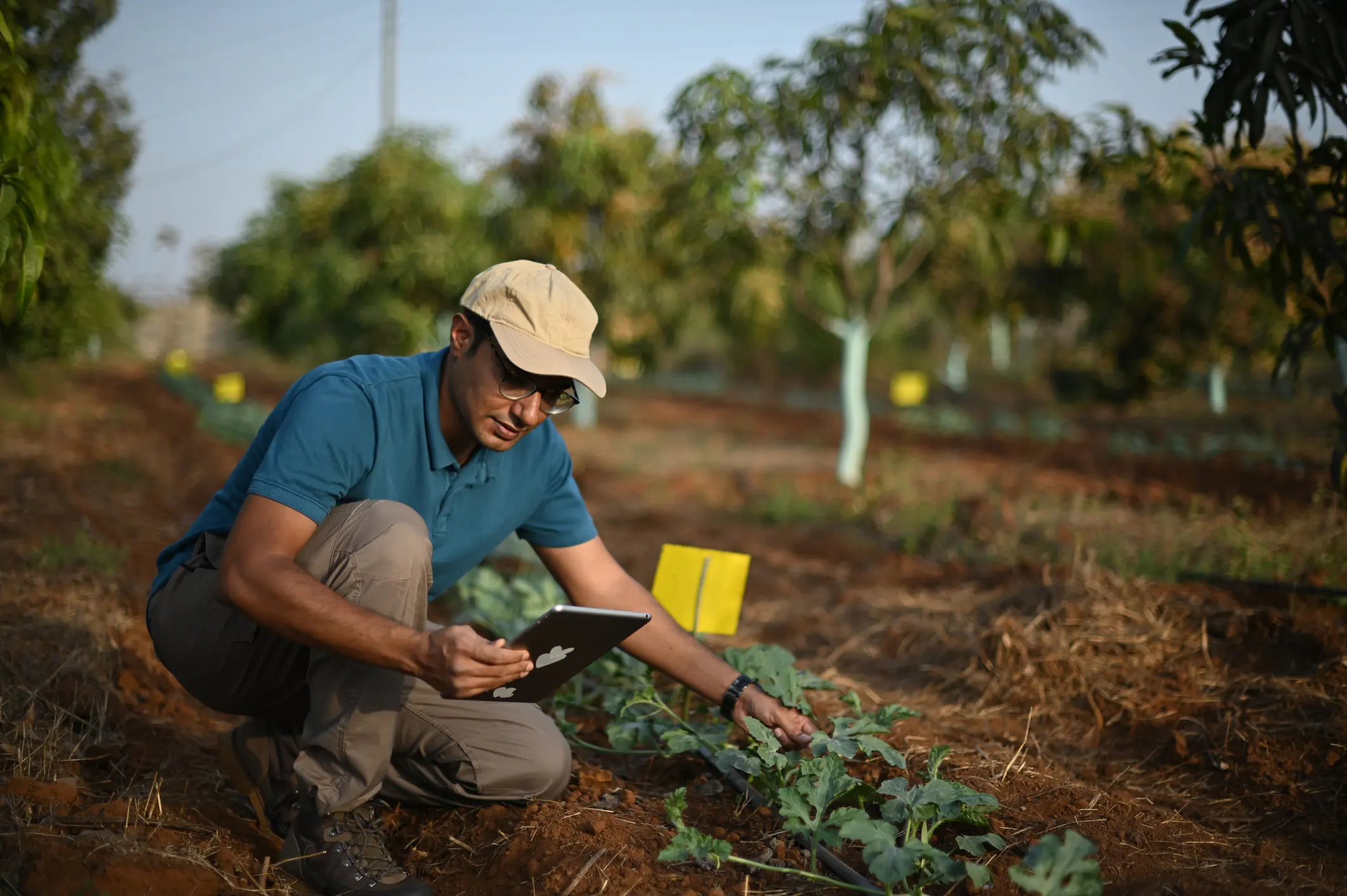 Farmer in field with plans and ipad