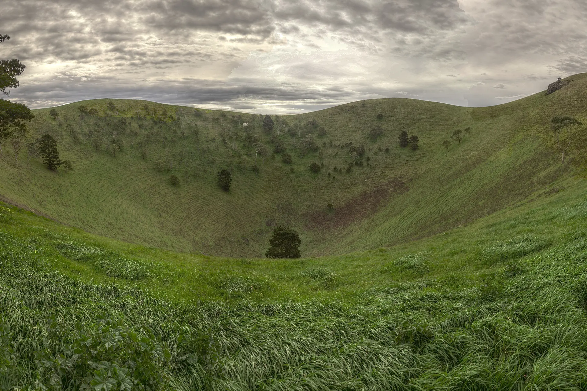 Grass-filled crater 