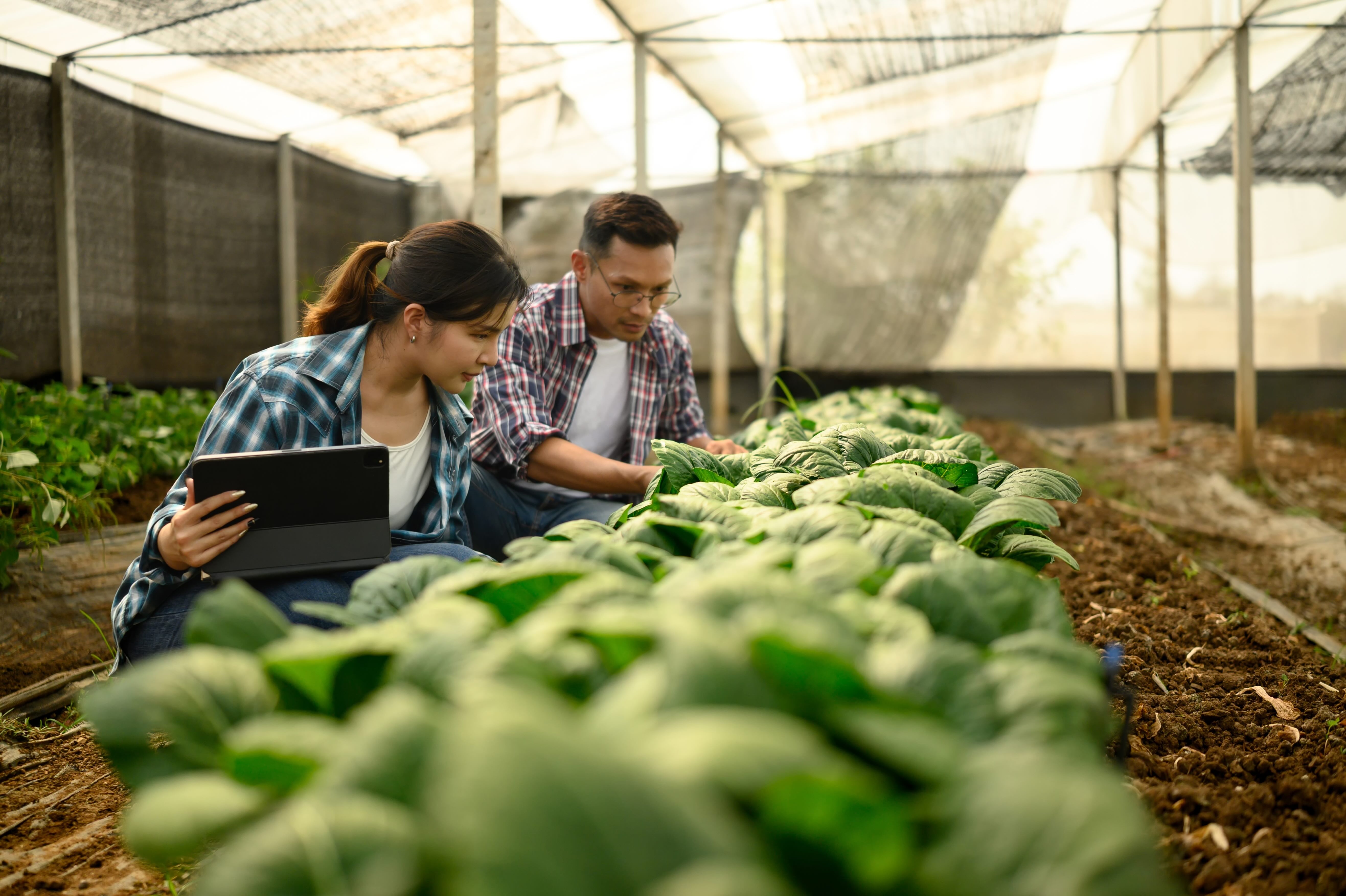 Ag and AI_female and male farmer with tablet