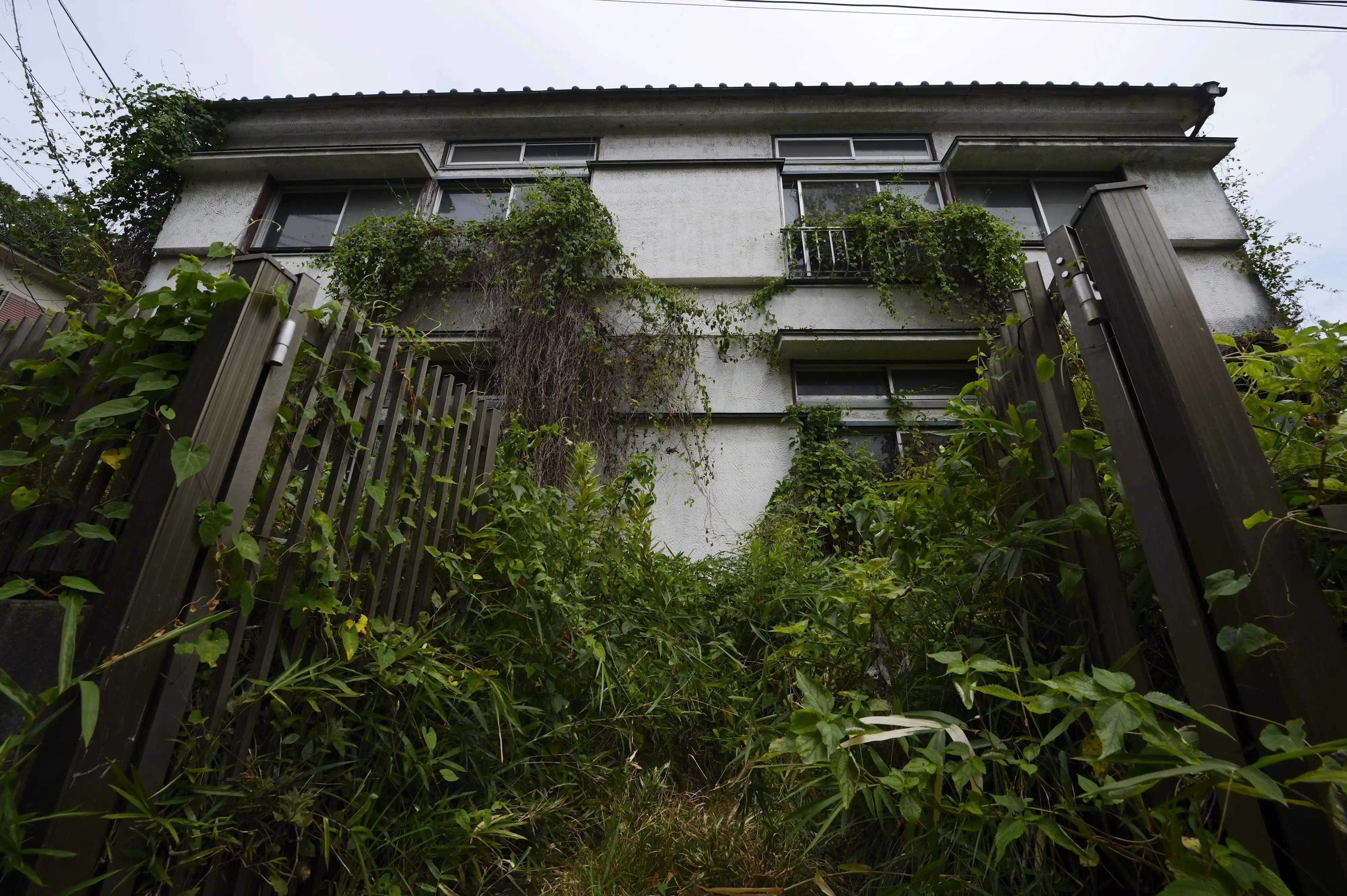 A vacant house in Japan overgrown with weeds and vines