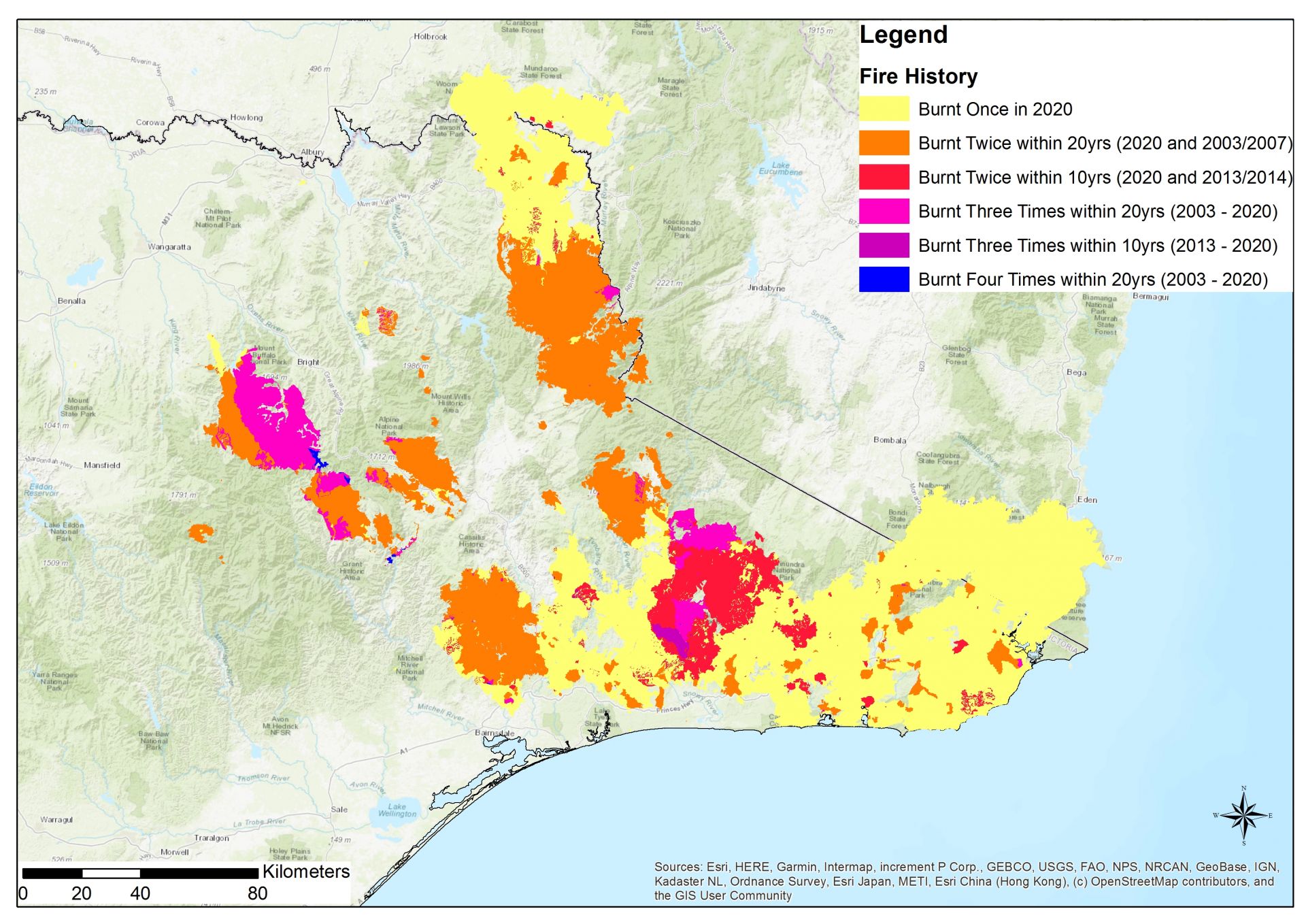Why Australia’s severe bushfires may be bad news for tree regeneration ...