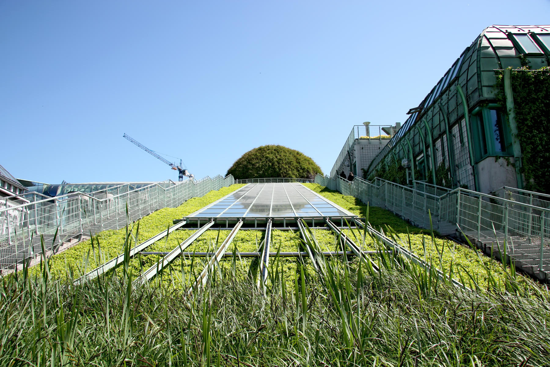 Green roofs shade impervious materials such as bricks and concrete, which reduces heat absorption and provides natural cooling.
