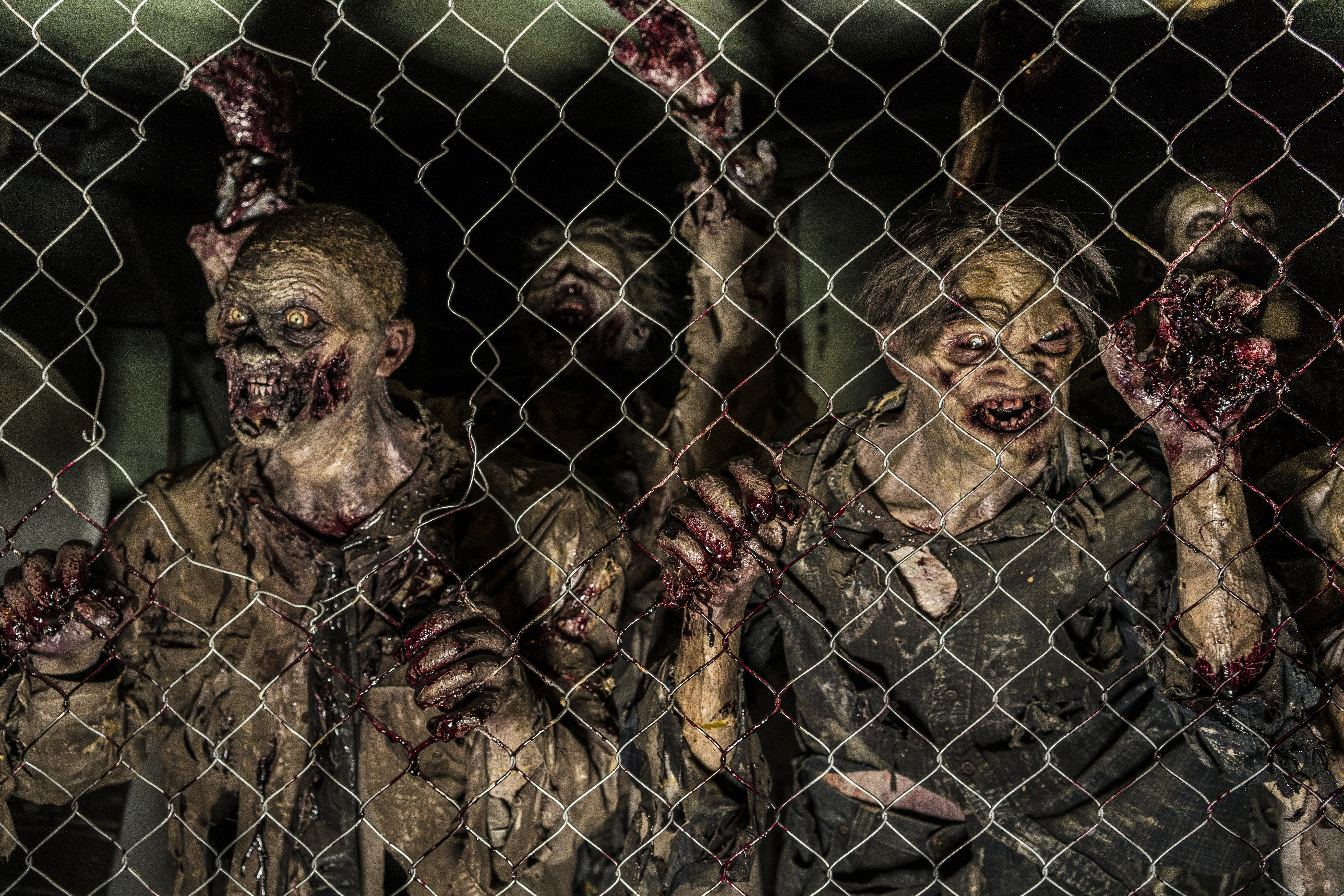 Zombies behind a fence