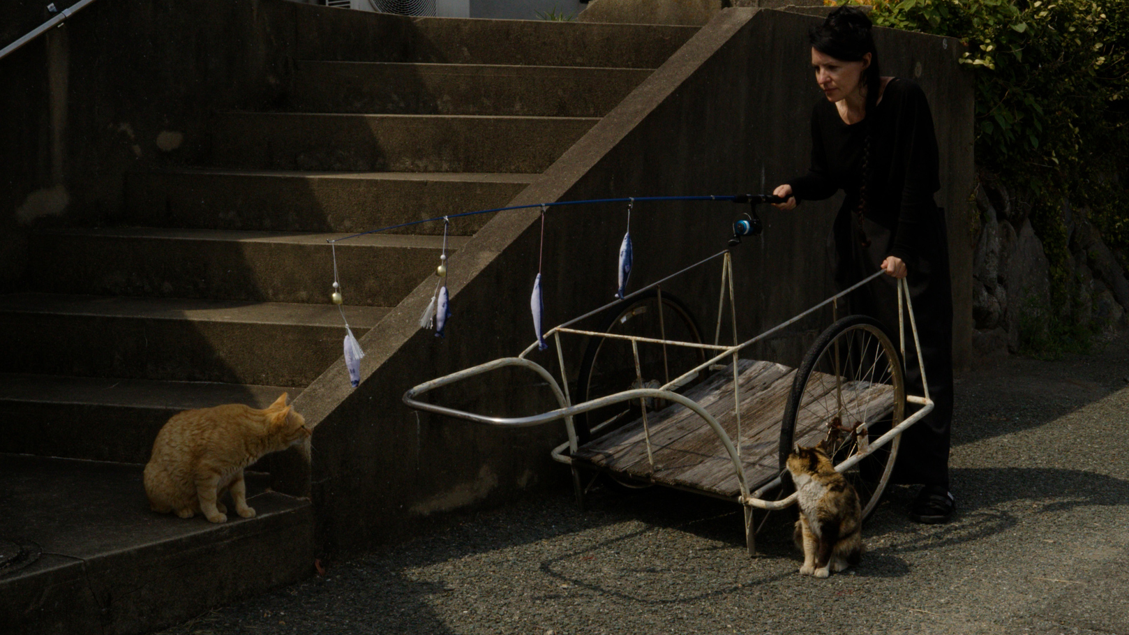 Artist plays with cats