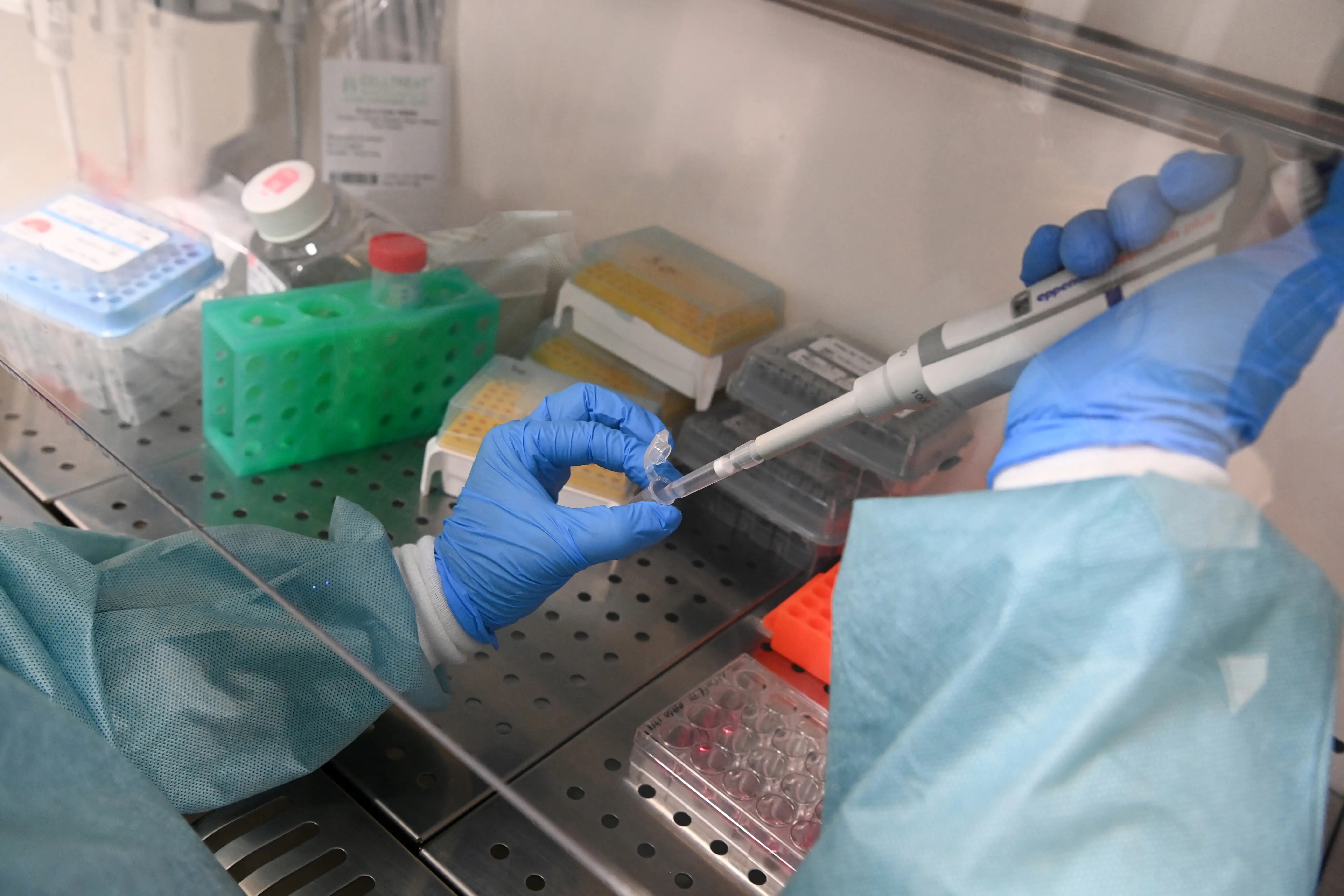 A researcher works on an mRNA transcription reaction, using a pipette marked ‘RNA’