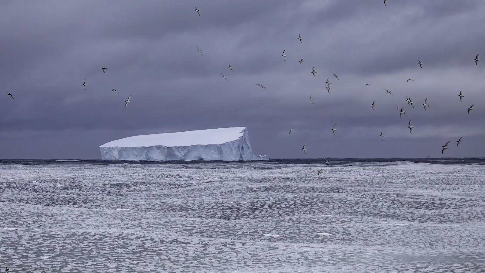 Iceberg calved from ocean waves