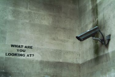Poetry as a surveillance survival guide thumbnail image