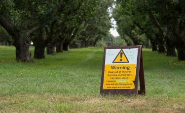 ‘Safe’ herbicide in Australian water affects male fertility thumbnail image