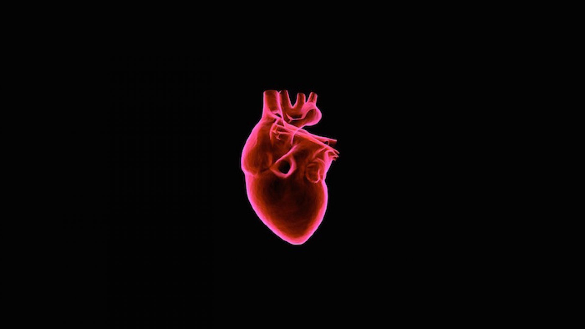 World-first test could predict your risk of a heart attack | Pursuit by ...