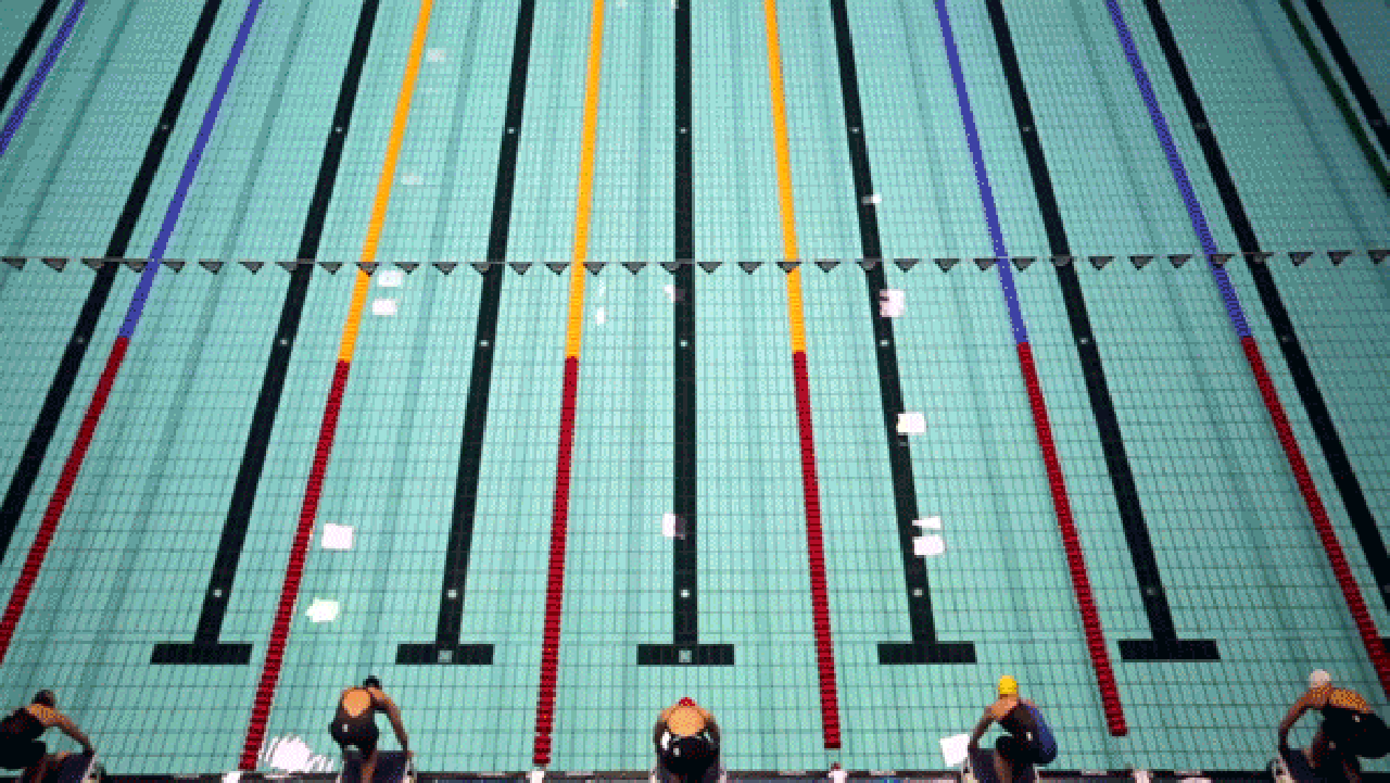 Swimmers diving at the start of a race