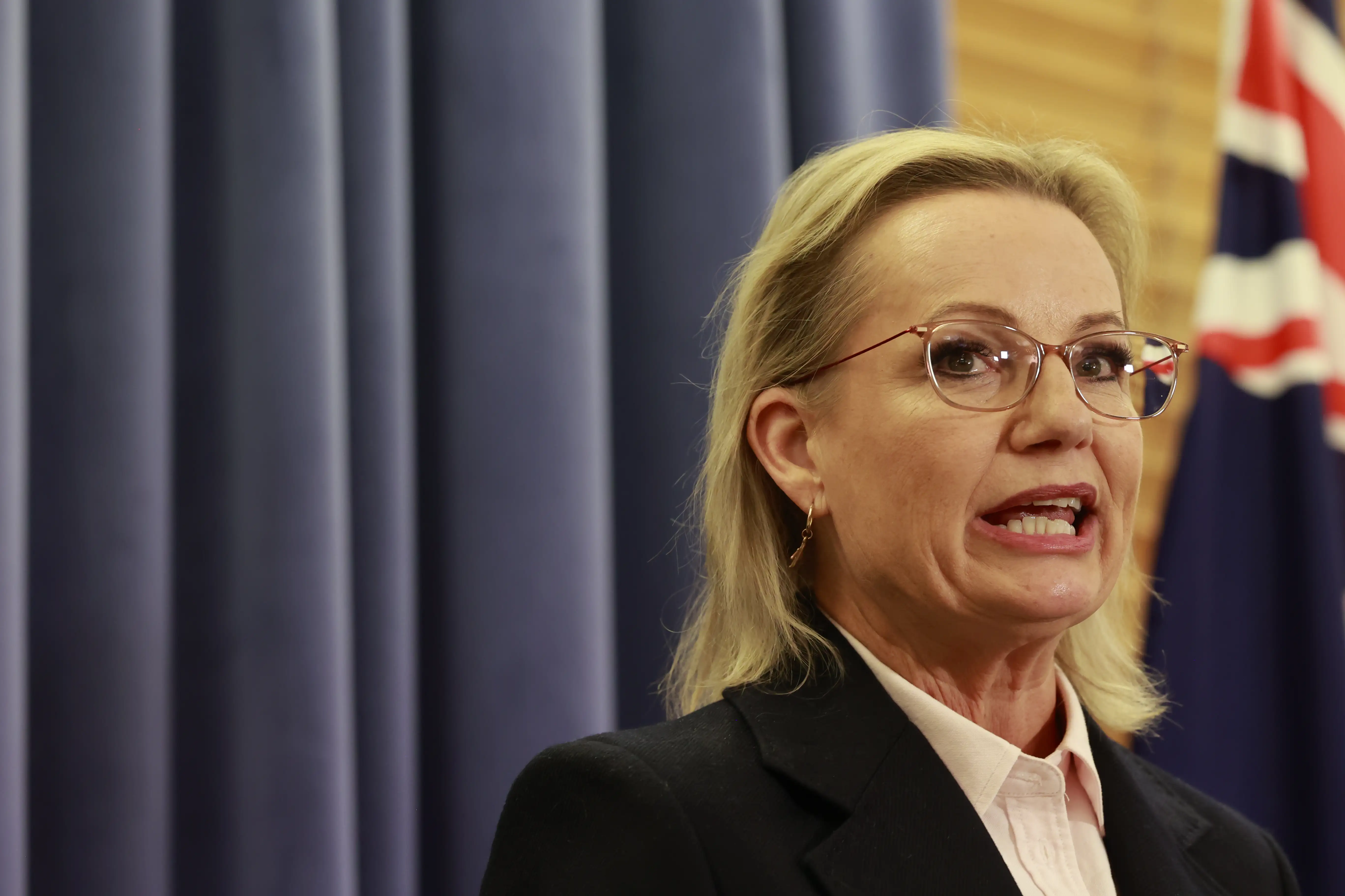 Leader of the Opposition Sussan Ley addresses the media at Parliament House.