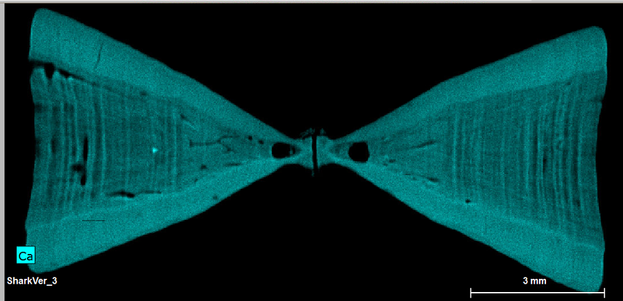 Research results showing a striped sample