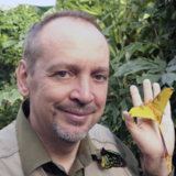 Dr Enzo Morretto