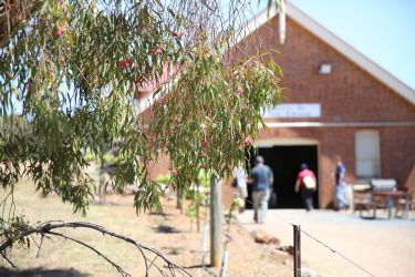 Give me a campus among the gum trees thumbnail image