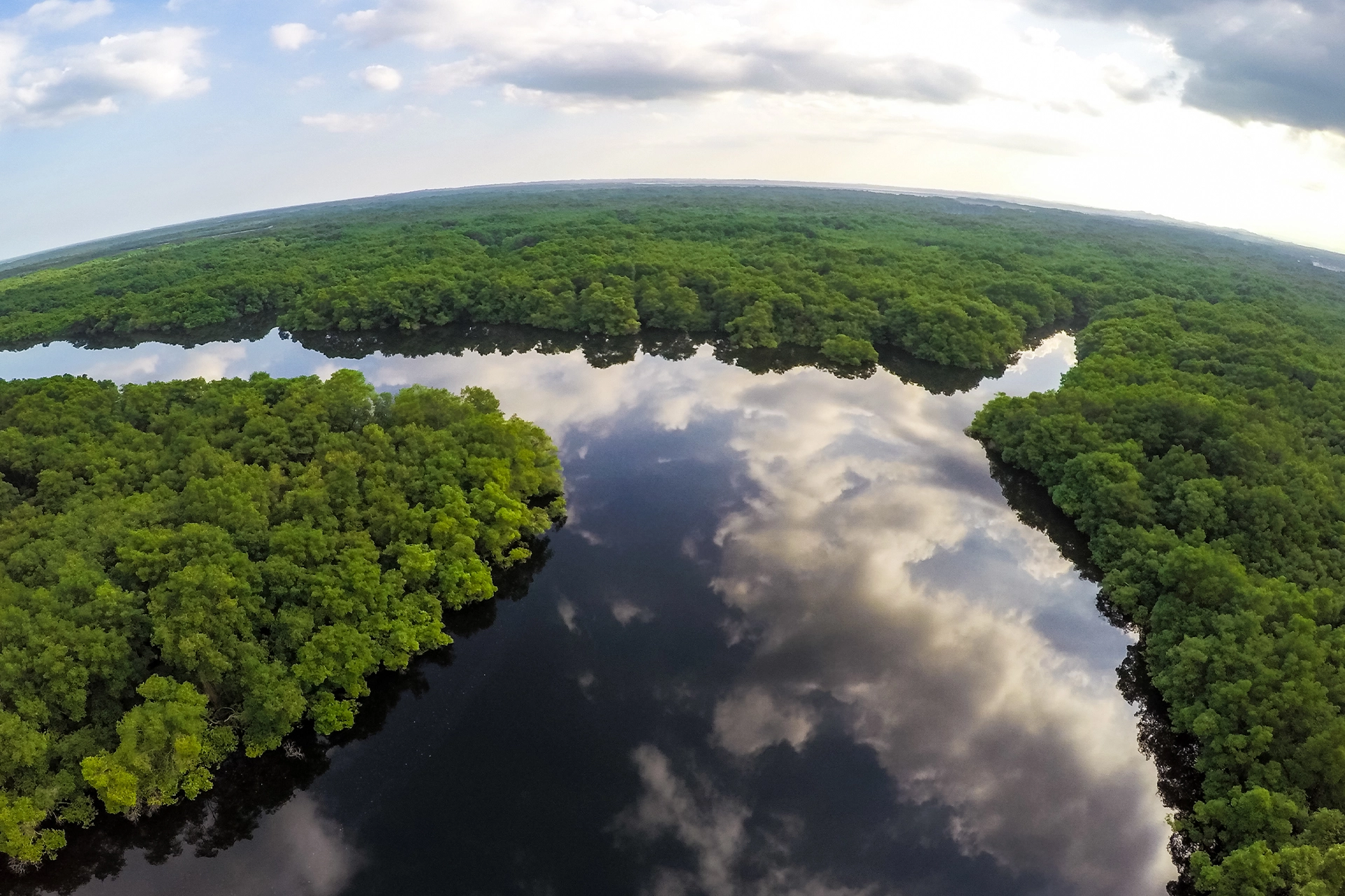 High view of a wide river flowing through a rainforest