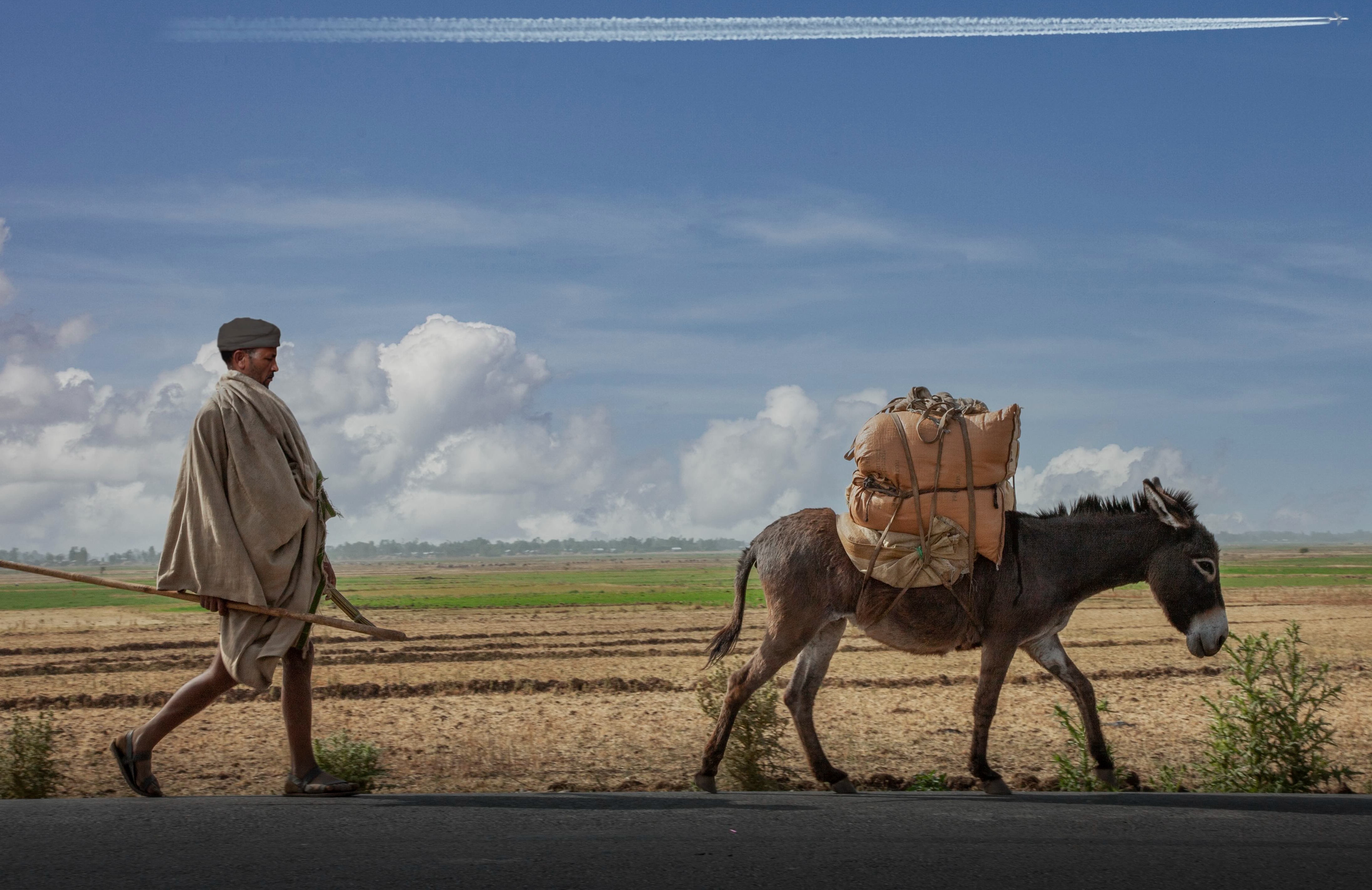 Donkey And Owner Going To Market