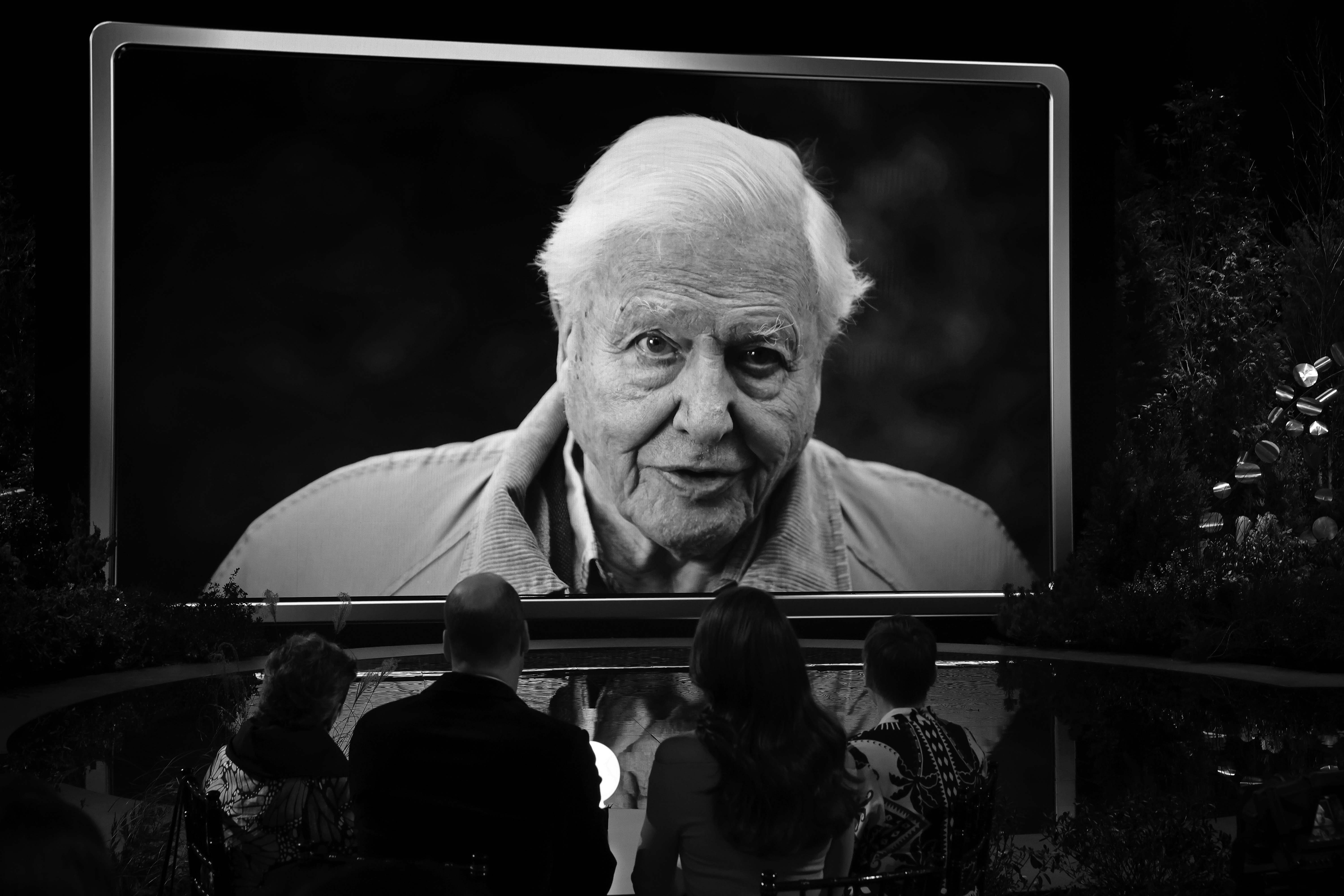 Sir David Attenborough on a large screen at The Earthshot Prize 2022