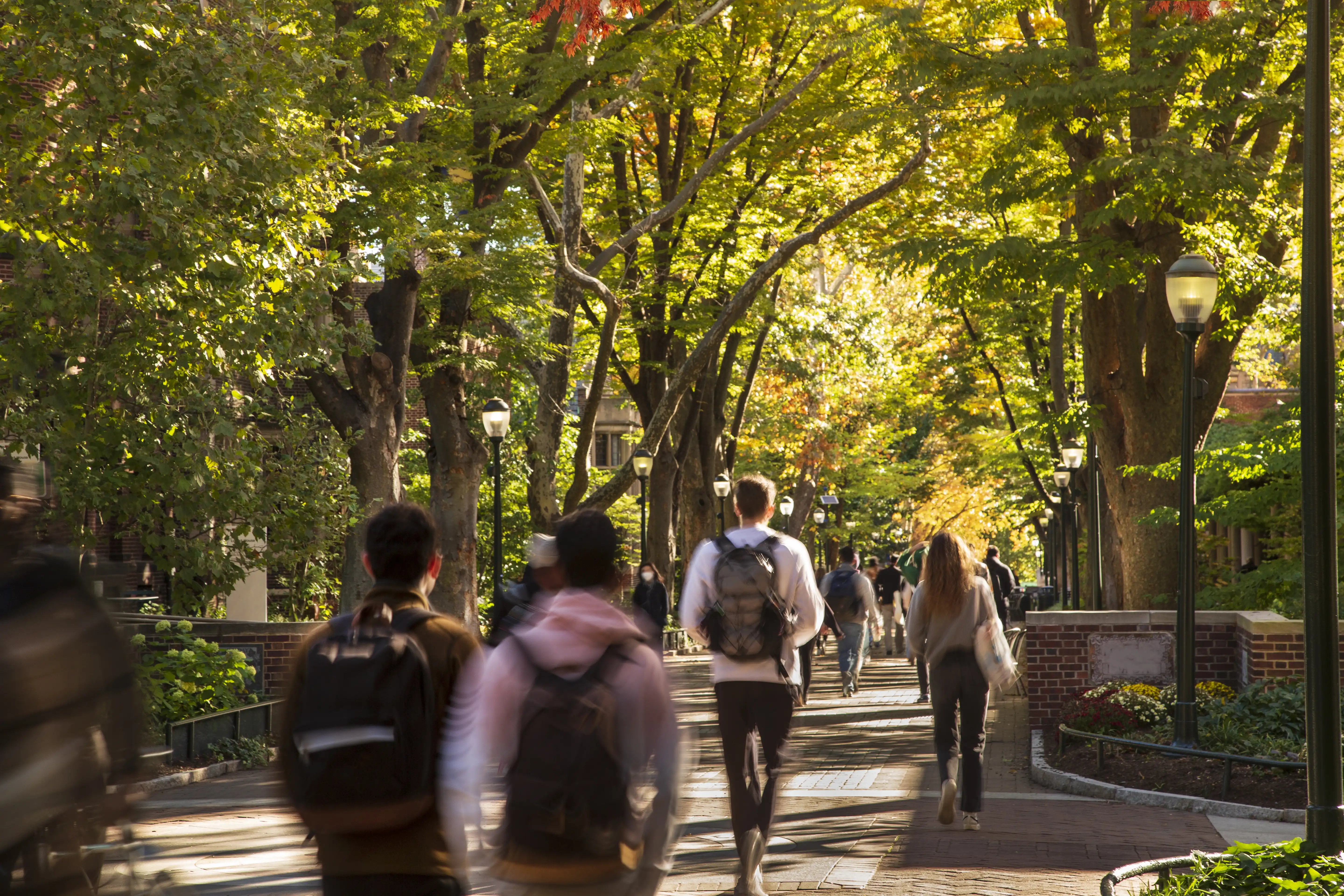 Outdoors at a university as students walk through filtered light from trees