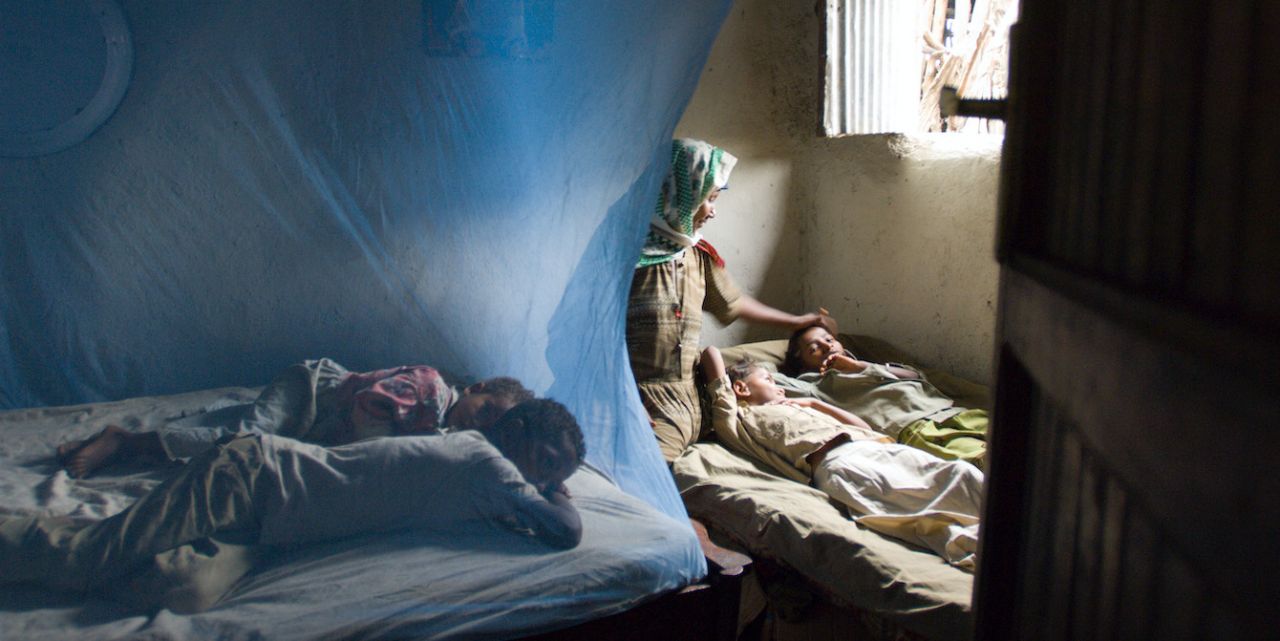 Killing the malaria parasite by blocking its recycling system thumbnail image