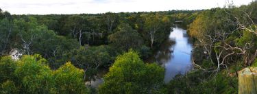 The common insecticide poisoning our rivers and wetlands thumbnail image