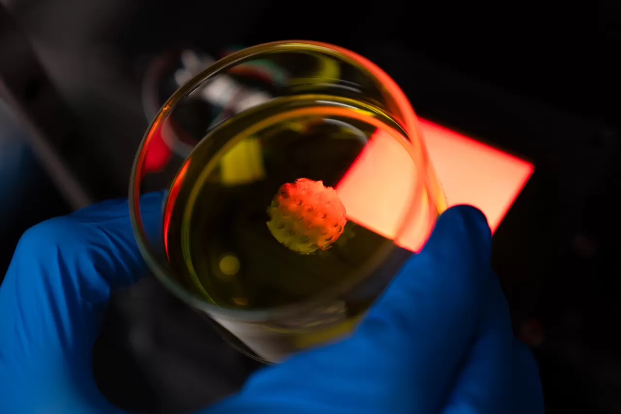 Person's hand wearing blue plastic glove and holding glass lab jar containing yellow liquid and cells