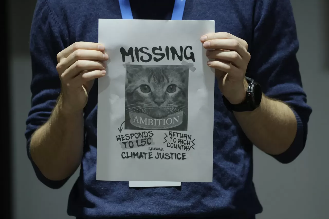 Person holding a satirical cat missing poster about climate ambition