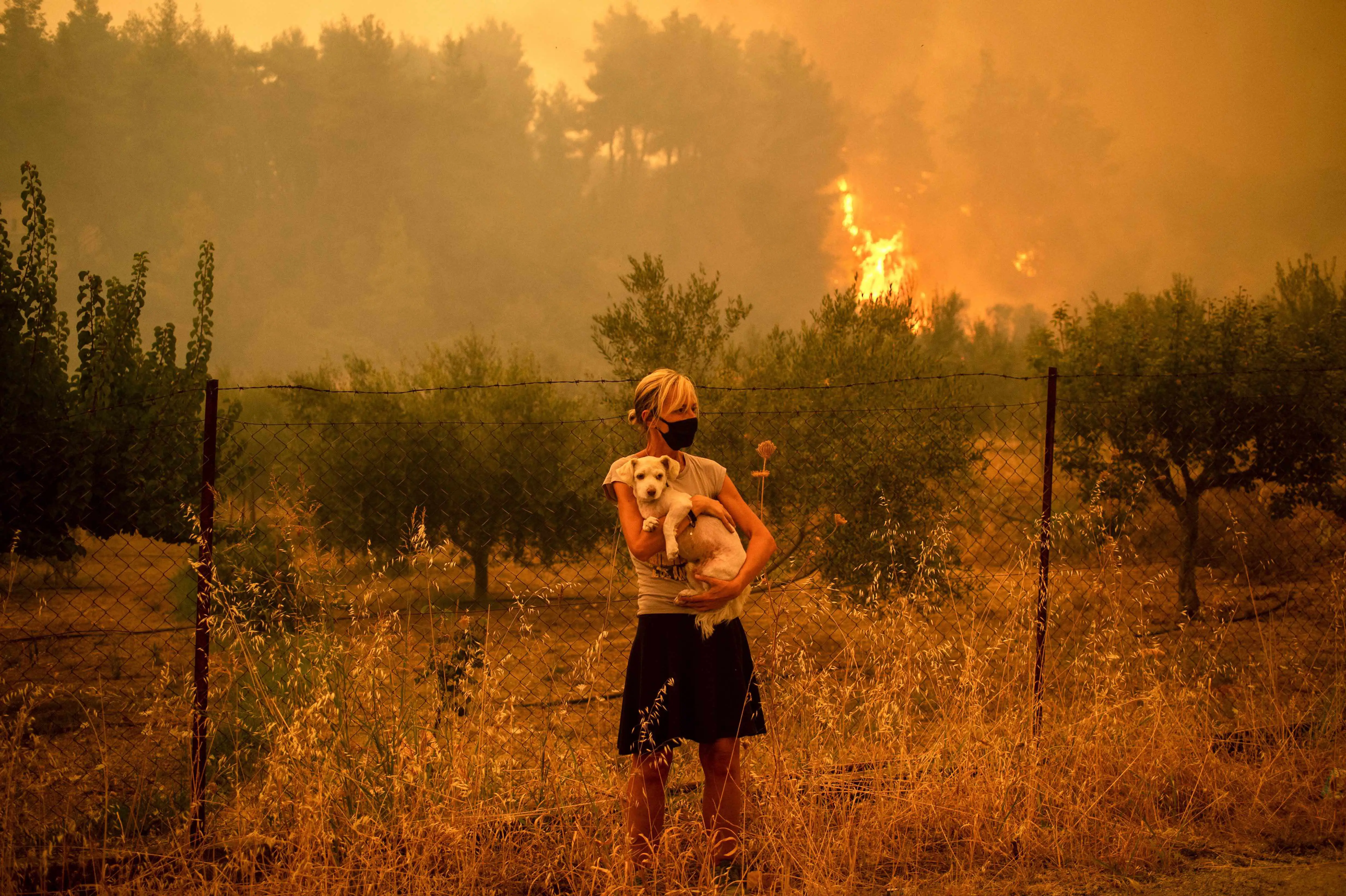 A woman holds a small dog as bushfires rage in the distance