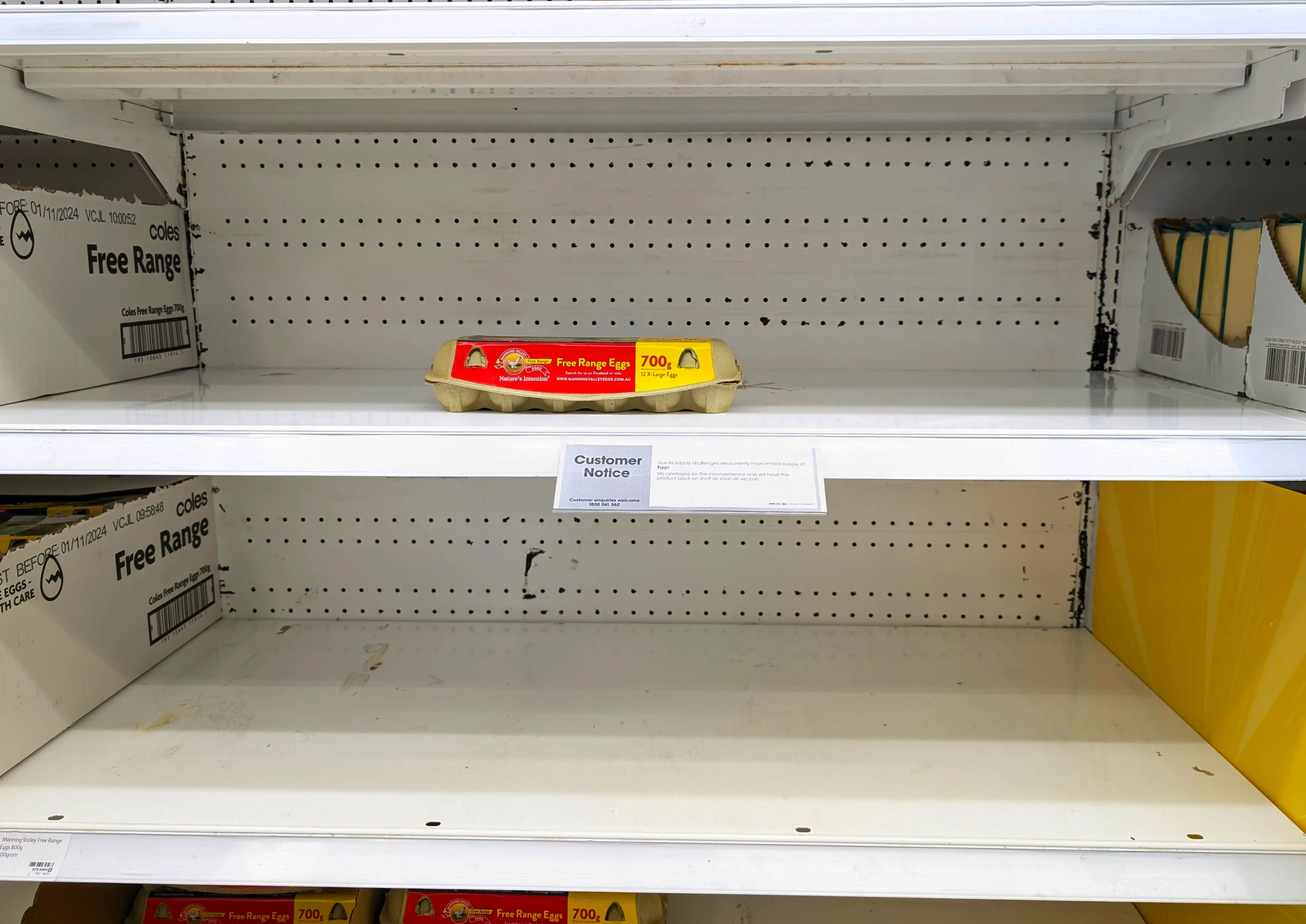 A supermarket shelf containing a single egg carton