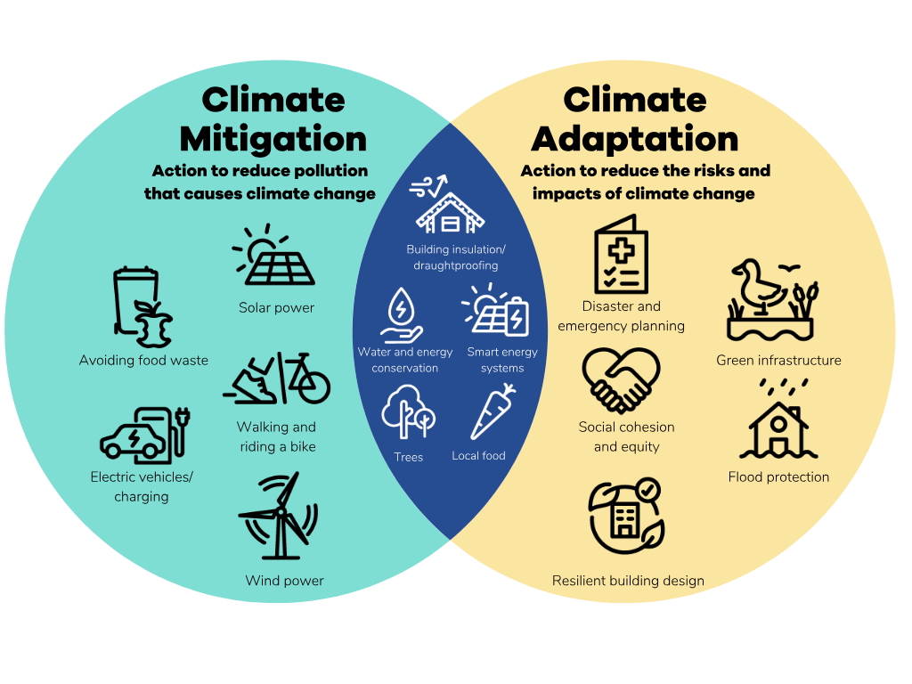 Climate Mitigation and Adaptation Diagram