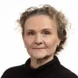 Professor Titti Mattsson