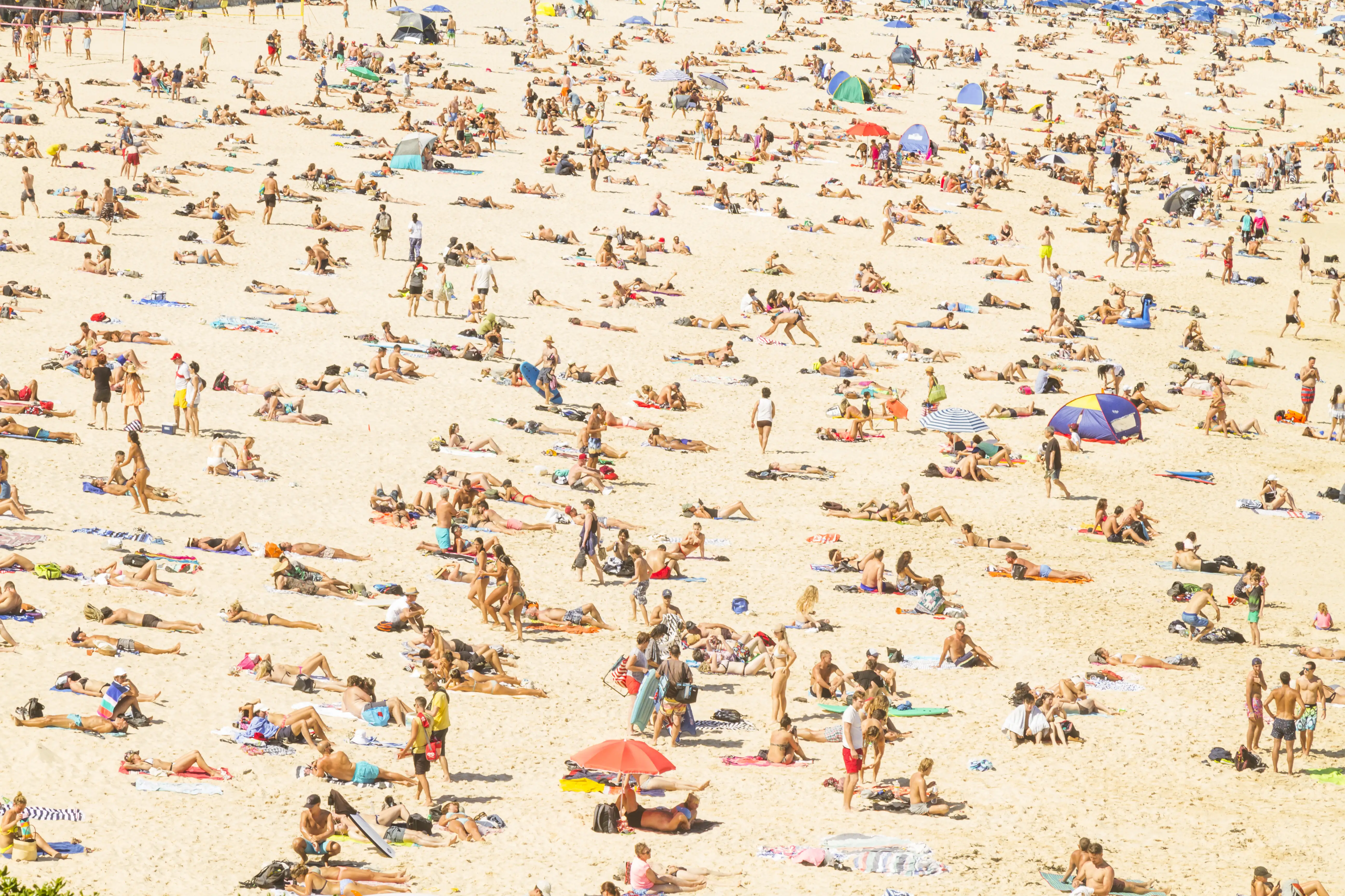 A busy Australian beach in the sun