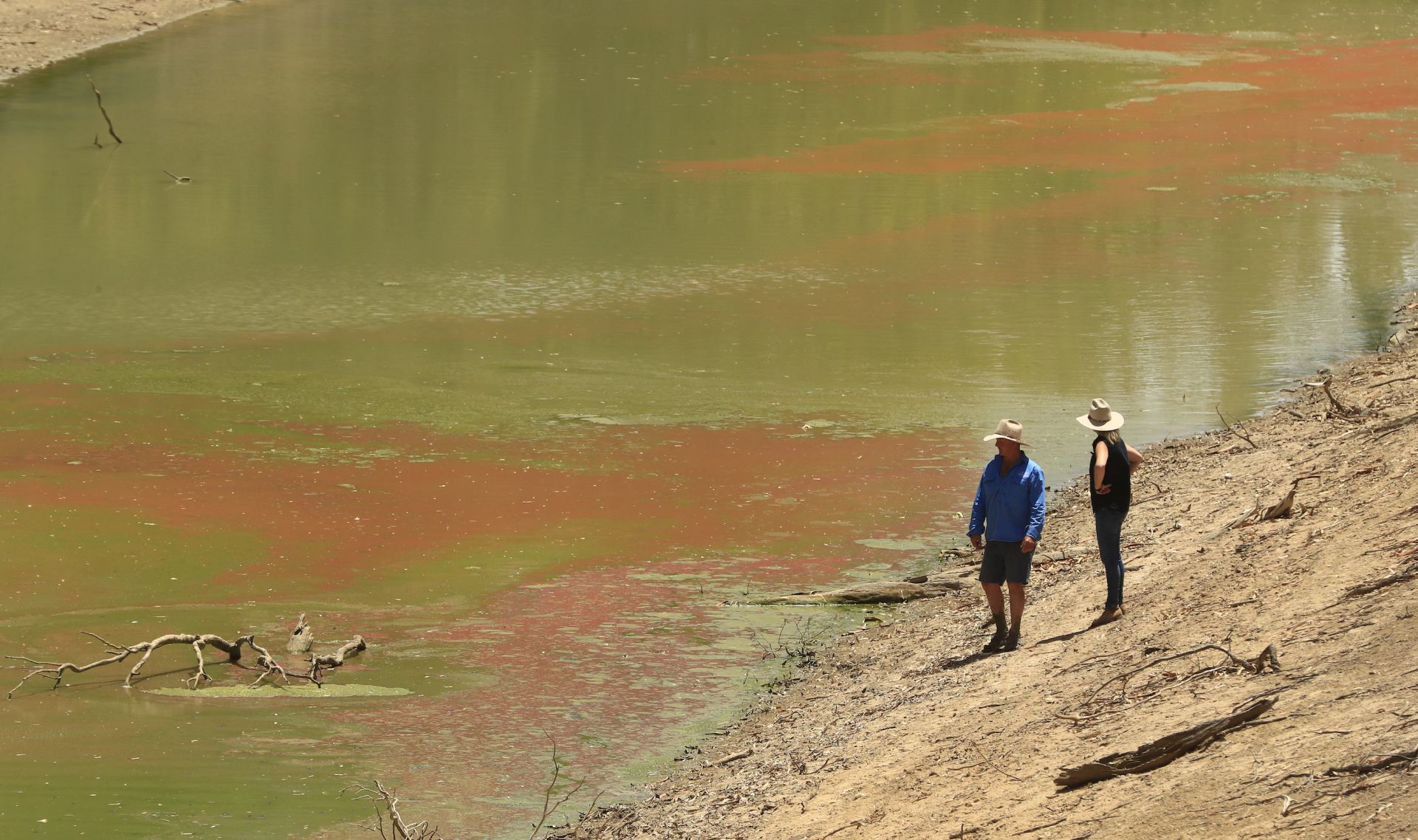 People looking at algae in river