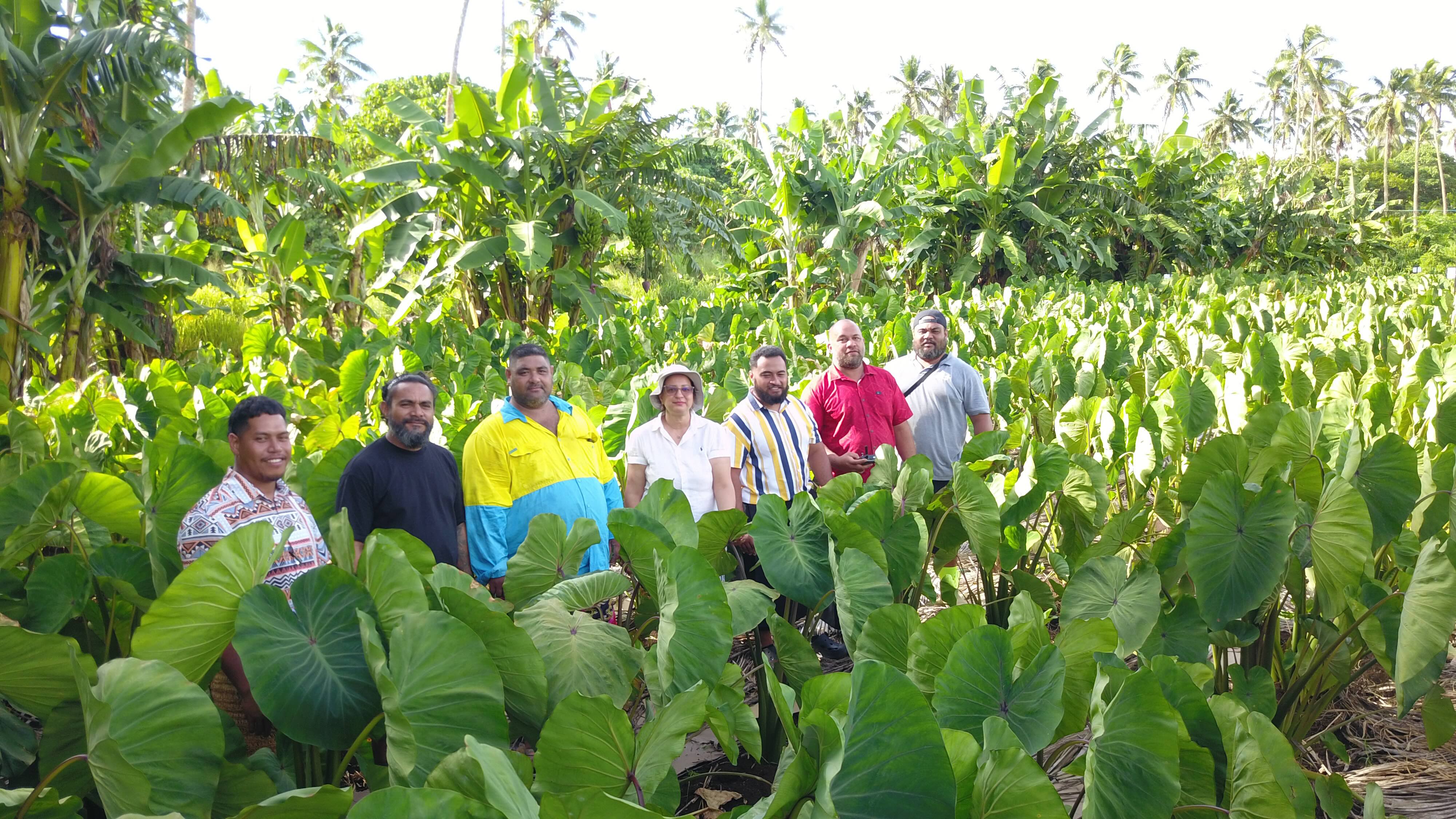 Pacific Farmers Climate_research and farmers team